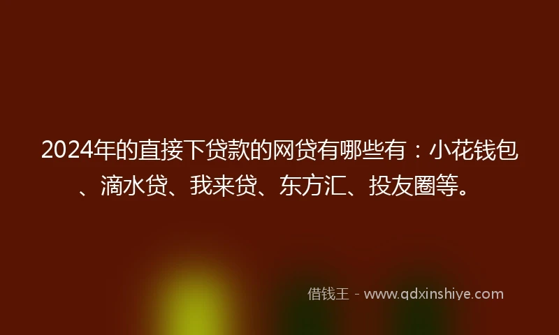 2024年的直接下贷款的网贷有哪些有：小花钱包、滴水贷、我来贷、东方汇、投友圈等。