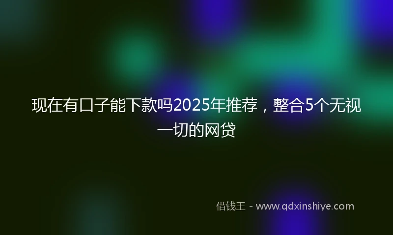 现在有口子能下款吗2025年推荐，整合5个无视一切的网贷