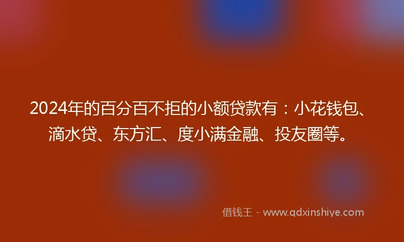 2024年的百分百不拒的小额贷款有：小花钱包、滴水贷、东方汇、度小满金融、投友圈等。