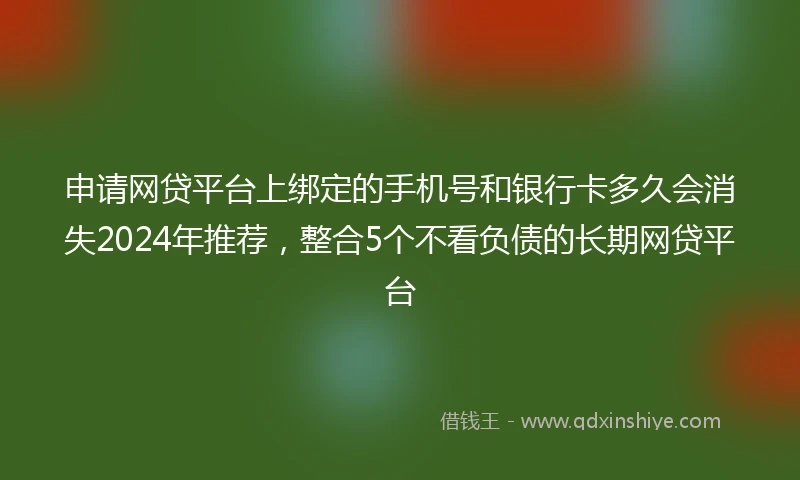 申请网贷平台上绑定的手机号和银行卡多久会消失2024年推荐，整合5个不看负债的长期网贷平台