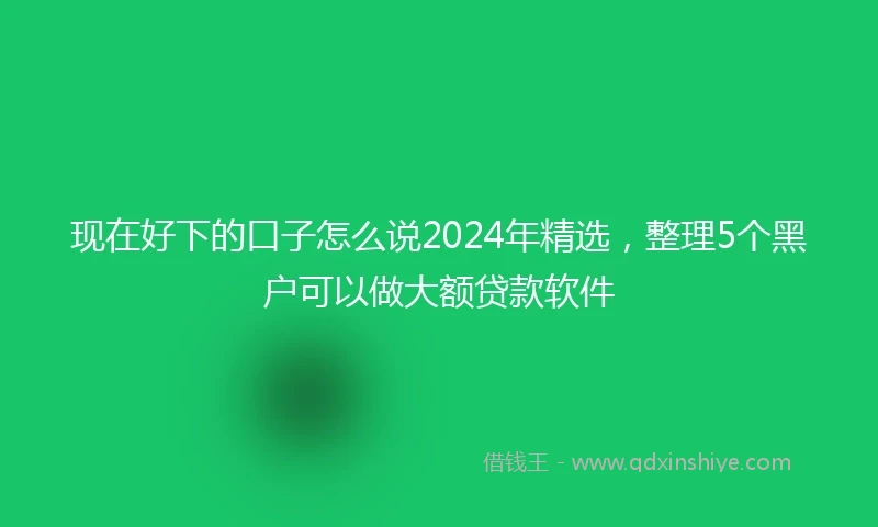 现在好下的口子怎么说2024年精选，整理5个黑户可以做大额贷款软件