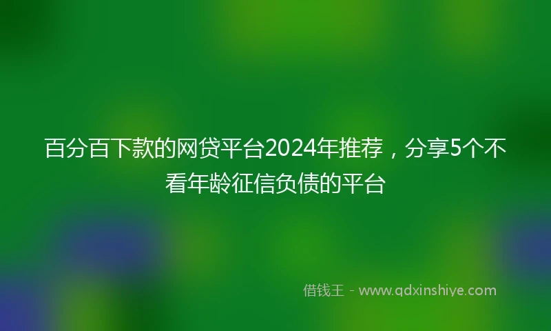 百分百下款的网贷平台2024年推荐，分享5个不看年龄征信负债的平台