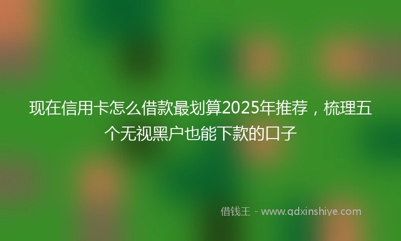 现在信用卡怎么借款最划算2025年推荐，梳理五个无视黑户也能下款的口子