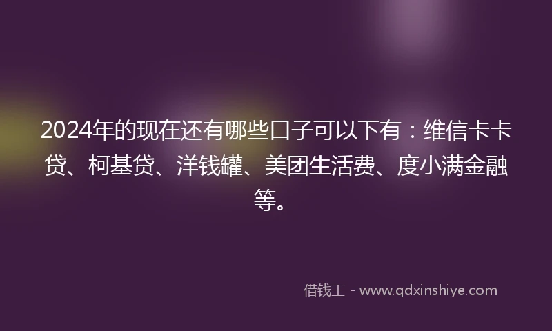 2024年的现在还有哪些口子可以下有：维信卡卡贷、柯基贷、洋钱罐、美团生活费、度小满金融等。