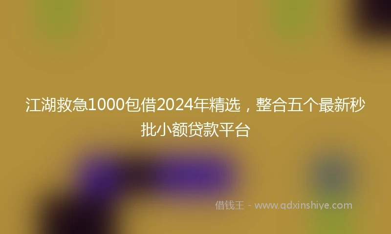 江湖救急1000包借2024年精选，整合五个最新秒批小额贷款平台