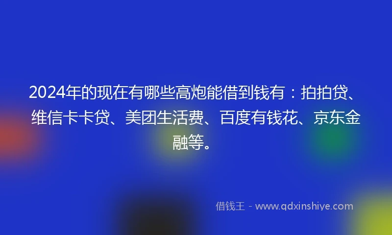 2024年的现在有哪些高炮能借到钱有：拍拍贷、维信卡卡贷、美团生活费、百度有钱花、京东金融等。