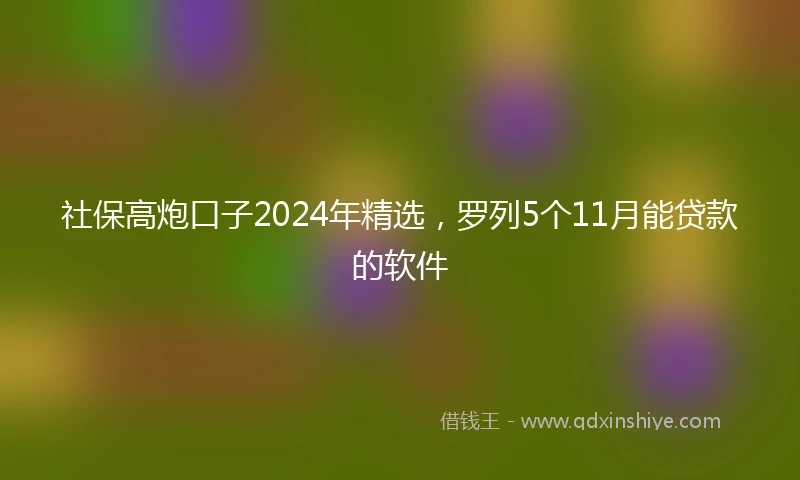 社保高炮口子2024年精选，罗列5个11月能贷款的软件