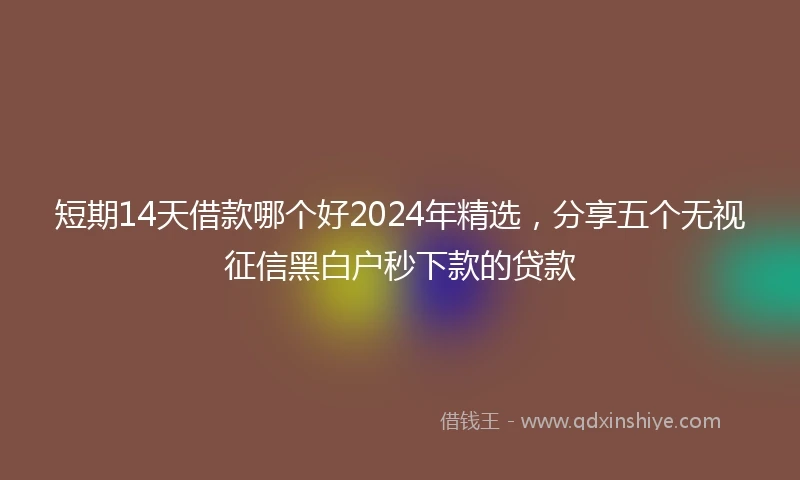 短期14天借款哪个好2024年精选，分享五个无视征信黑白户秒下款的贷款