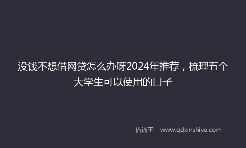 没钱不想借网贷怎么办呀2024年推荐，梳理五个大学生可以使用的口子