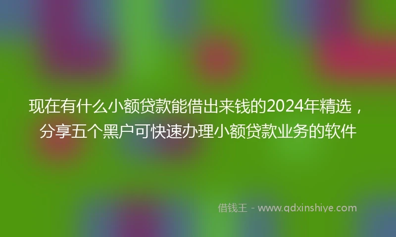 现在有什么小额贷款能借出来钱的2024年精选，分享五个黑户可快速办理小额贷款业务的软件