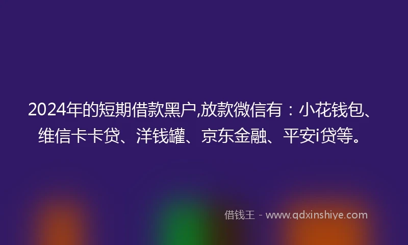 2024年的短期借款黑户,放款微信有：小花钱包、维信卡卡贷、洋钱罐、京东金融、平安i贷等。
