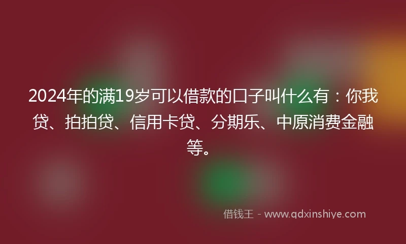 2024年的满19岁可以借款的口子叫什么有：你我贷、拍拍贷、信用卡贷、分期乐、中原消费金融等。