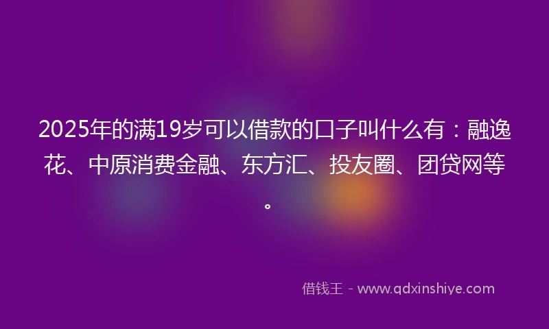 2025年的满19岁可以借款的口子叫什么有：融逸花、中原消费金融、东方汇、投友圈、团贷网等。
