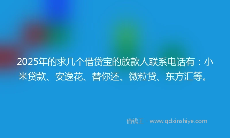 2025年的求几个借贷宝的放款人联系电话有：小米贷款、安逸花、替你还、微粒贷、东方汇等。