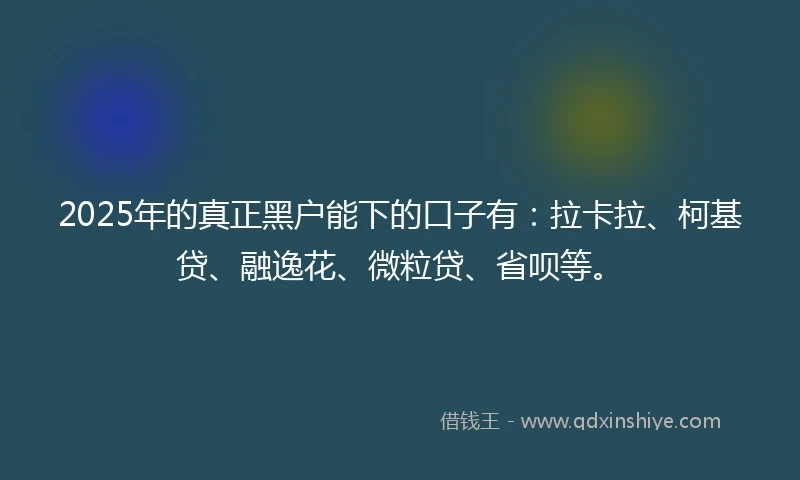 2025年的真正黑户能下的口子有：拉卡拉、柯基贷、融逸花、微粒贷、省呗等。