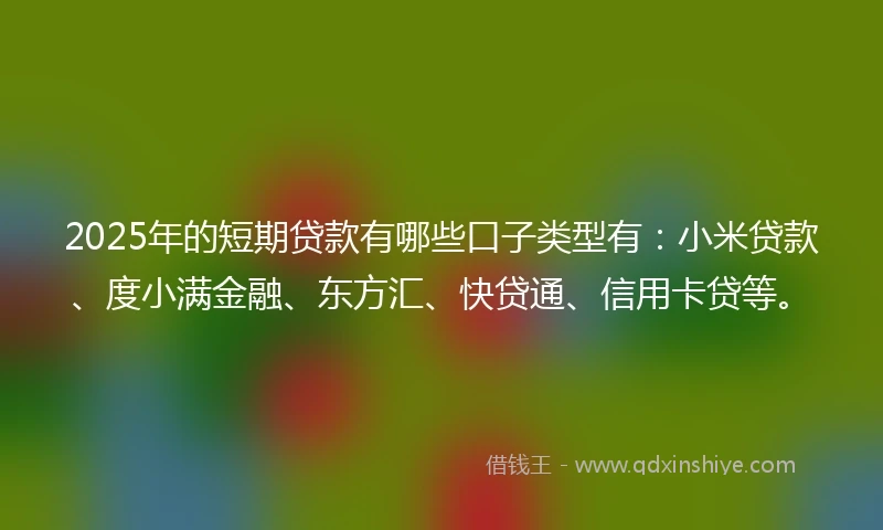 2025年的短期贷款有哪些口子类型有：小米贷款、度小满金融、东方汇、快贷通、信用卡贷等。