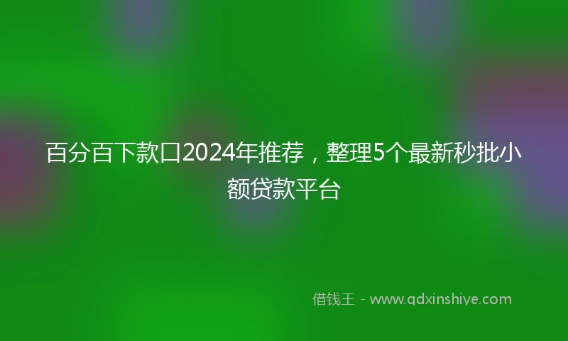 百分百下款口2024年推荐，整理5个最新秒批小额贷款平台