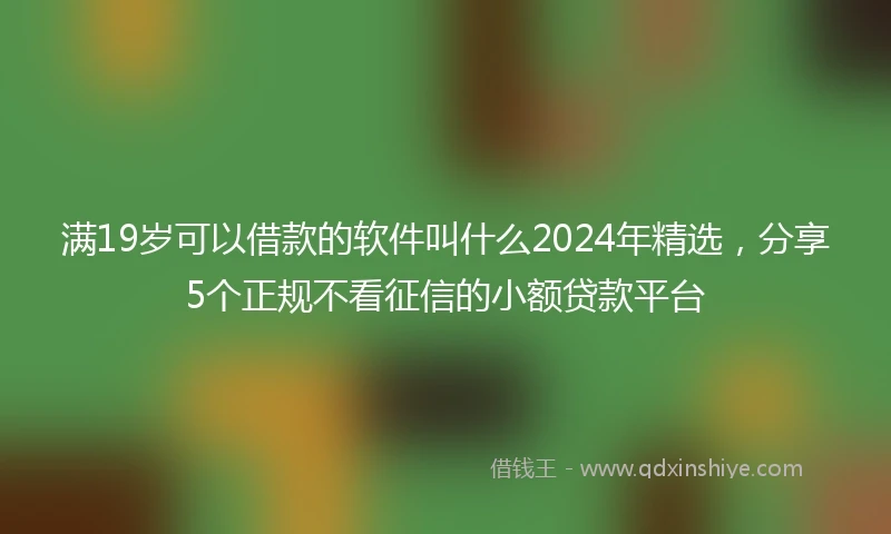 满19岁可以借款的软件叫什么2024年精选，分享5个正规不看征信的小额贷款平台