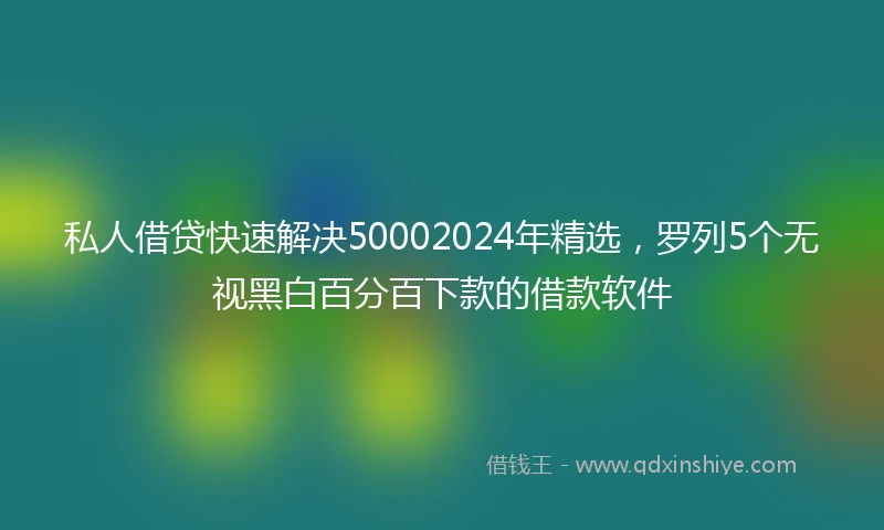 私人借贷快速解决50002024年精选，罗列5个无视黑白百分百下款的借款软件