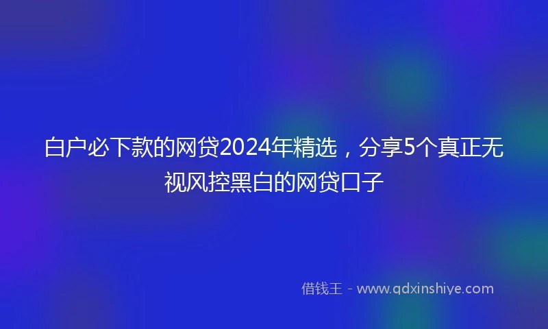 白户必下款的网贷2024年精选，分享5个真正无视风控黑白的网贷口子