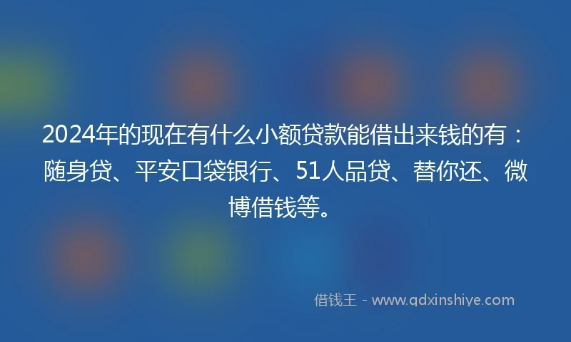 2024年的现在有什么小额贷款能借出来钱的有：随身贷、平安口袋银行、51人品贷、替你还、微博借钱等。