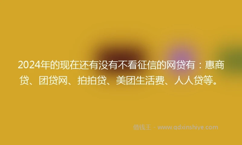 2024年的现在还有没有不看征信的网贷有：惠商贷、团贷网、拍拍贷、美团生活费、人人贷等。