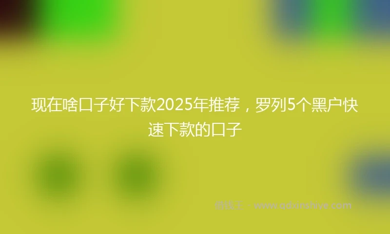 现在啥口子好下款2025年推荐，罗列5个黑户快速下款的口子