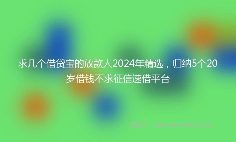 求几个借贷宝的放款人2024年精选，归纳5个20岁借钱不求征信速借平台