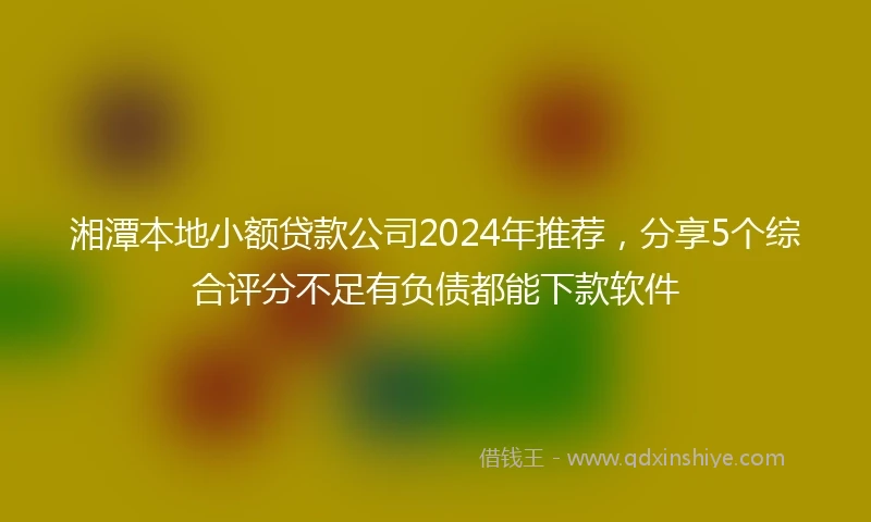 湘潭本地小额贷款公司2024年推荐，分享5个综合评分不足有负债都能下款软件