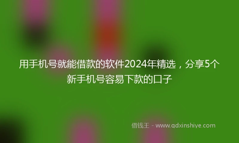 用手机号就能借款的软件2024年精选，分享5个新手机号容易下款的口子