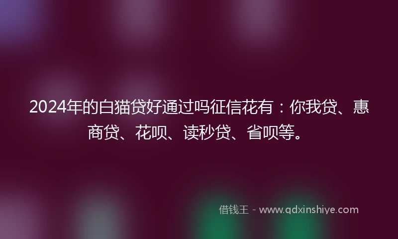 2024年的白猫贷好通过吗征信花有：你我贷、惠商贷、花呗、读秒贷、省呗等。