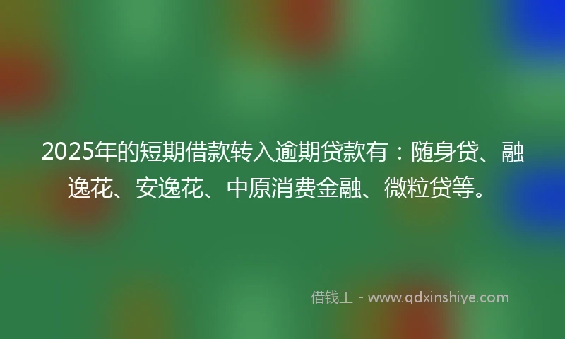 2025年的短期借款转入逾期贷款有：随身贷、融逸花、安逸花、中原消费金融、微粒贷等。