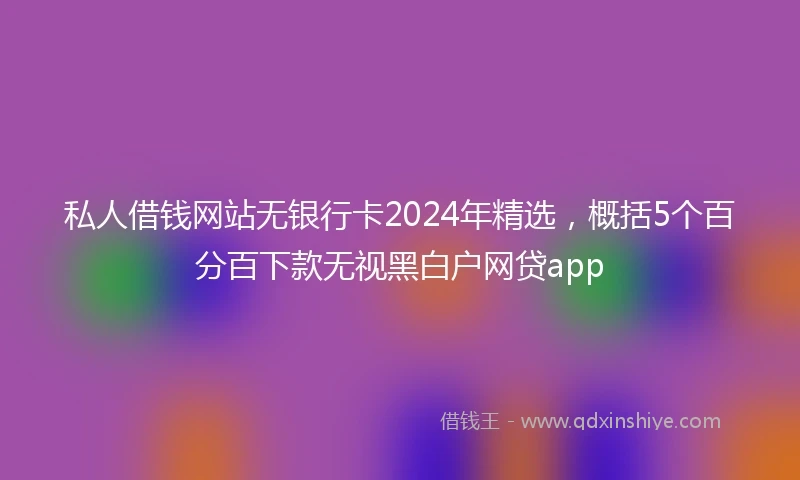 私人借钱网站无银行卡2024年精选，概括5个百分百下款无视黑白户网贷app