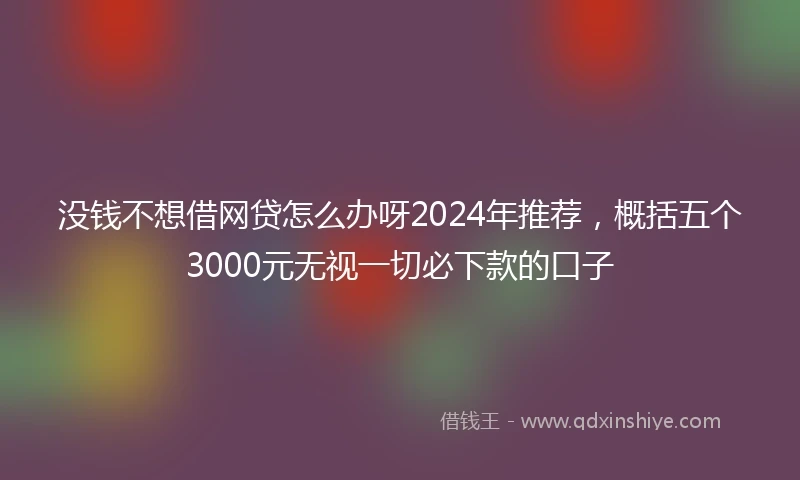 没钱不想借网贷怎么办呀2024年推荐，概括五个3000元无视一切必下款的口子