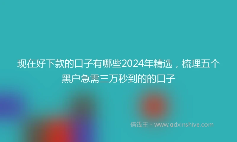 现在好下款的口子有哪些2024年精选，梳理五个黑户急需三万秒到的的口子