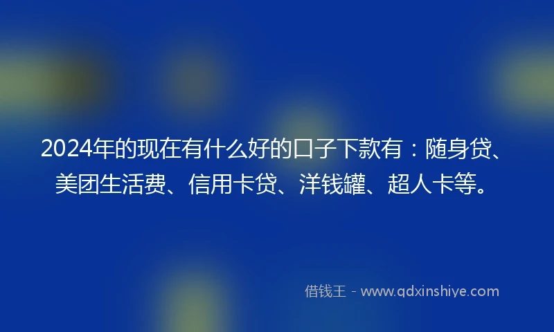 2024年的现在有什么好的口子下款有：随身贷、美团生活费、信用卡贷、洋钱罐、超人卡等。