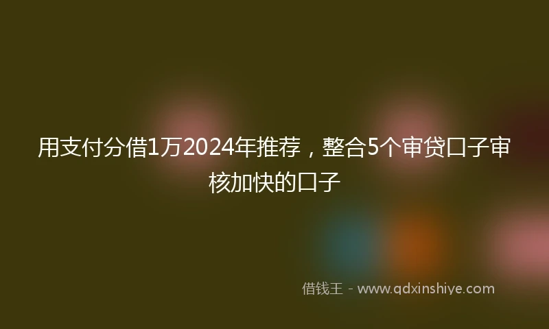用支付分借1万2024年推荐，整合5个审贷口子审核加快的口子
