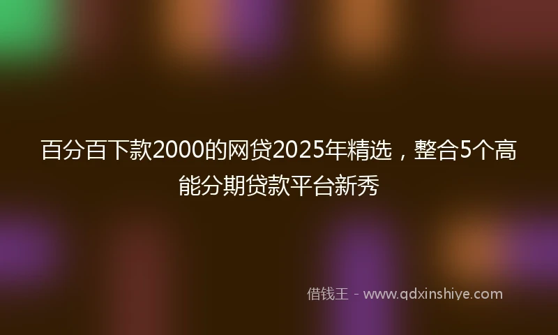百分百下款2000的网贷2025年精选，整合5个高能分期贷款平台新秀