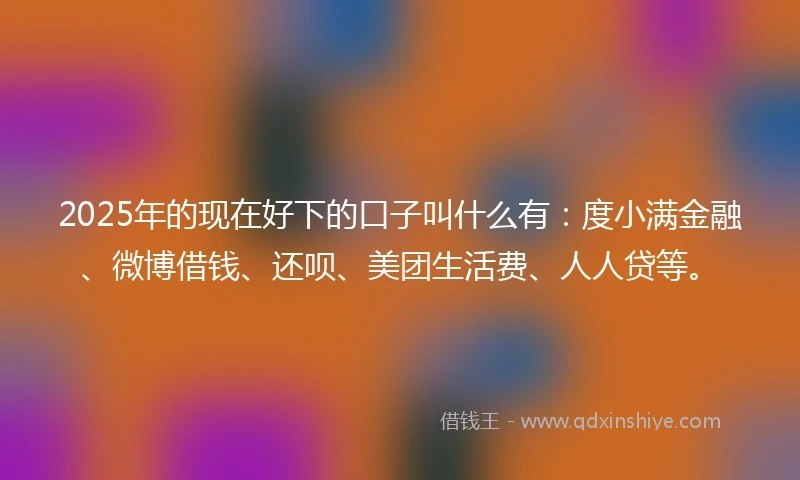 2025年的现在好下的口子叫什么有：度小满金融、微博借钱、还呗、美团生活费、人人贷等。