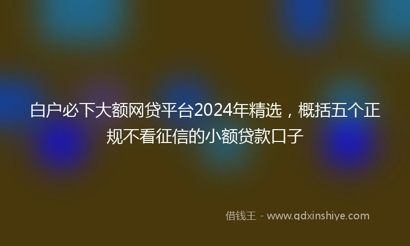 白户必下大额网贷平台2024年精选，概括五个正规不看征信的小额贷款口子