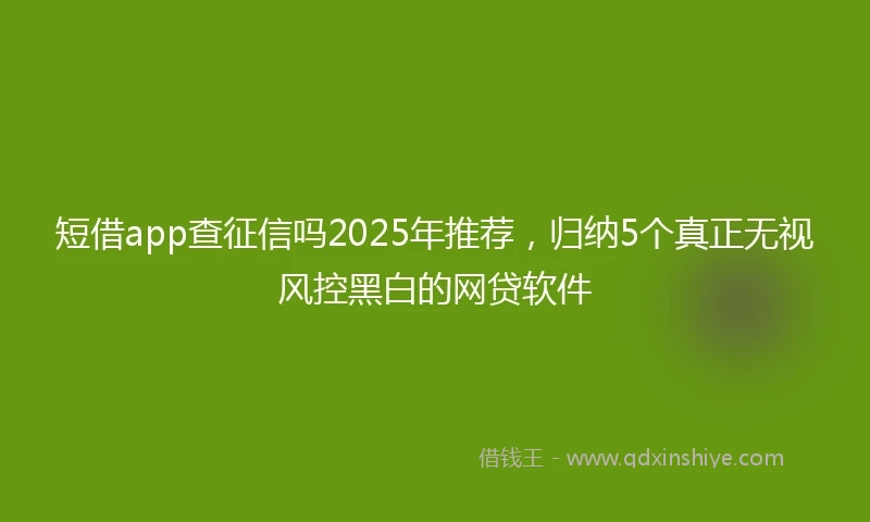 短借app查征信吗2025年推荐，归纳5个真正无视风控黑白的网贷软件