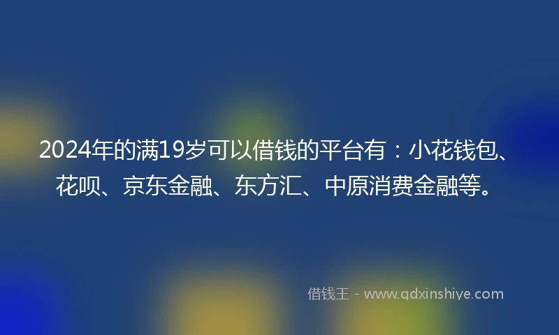 2024年的满19岁可以借钱的平台有：小花钱包、花呗、京东金融、东方汇、中原消费金融等。