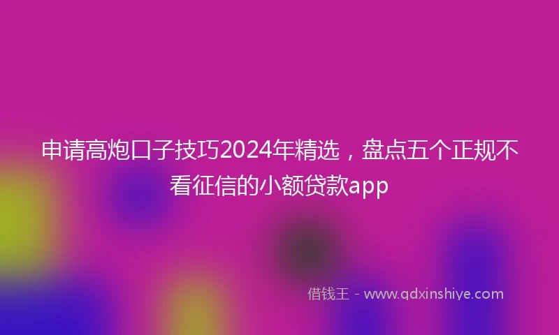 申请高炮口子技巧2024年精选，盘点五个正规不看征信的小额贷款app