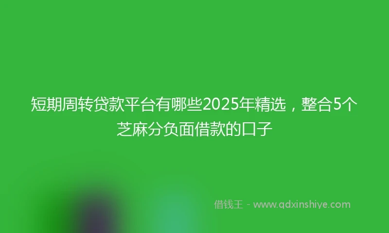 短期周转贷款平台有哪些2025年精选，整合5个芝麻分负面借款的口子