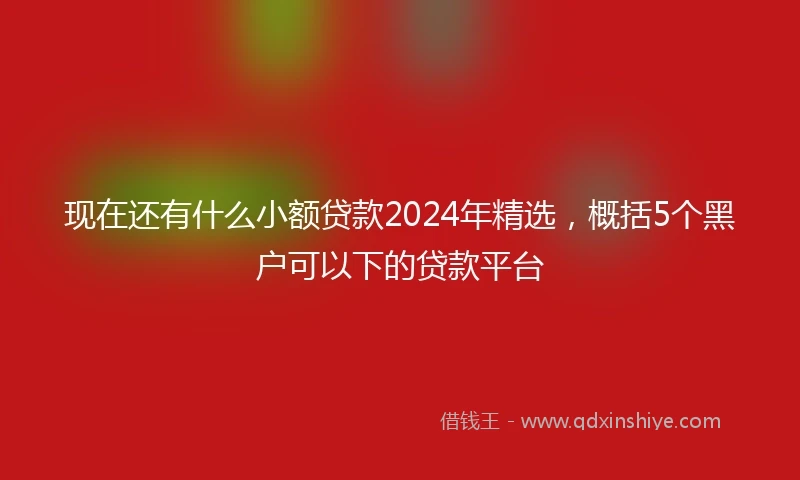 现在还有什么小额贷款2024年精选，概括5个黑户可以下的贷款平台