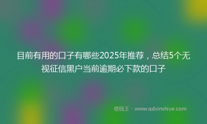目前有用的口子有哪些2025年推荐，总结5个无视征信黑户当前逾期必下款的口子