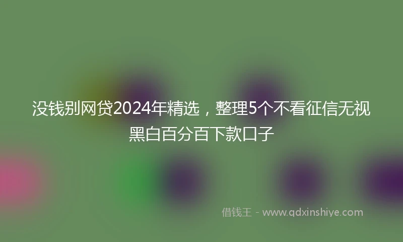 没钱别网贷2024年精选，整理5个不看征信无视黑白百分百下款口子