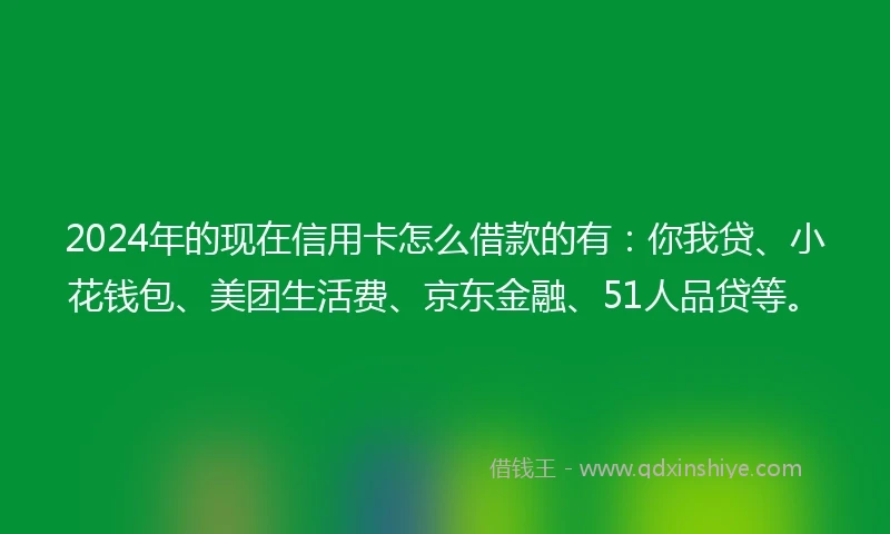 2024年的现在信用卡怎么借款的有:你我贷、小花钱包、美团生活费、京东金融、51人品贷等。