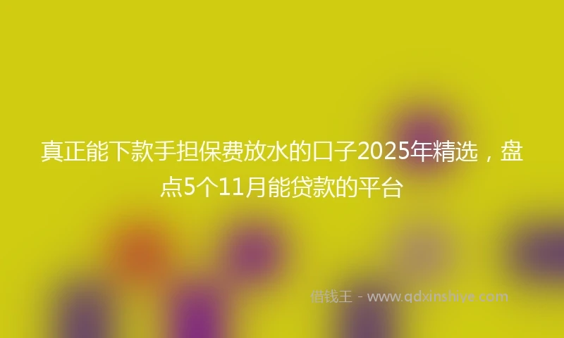 真正能下款手担保费放水的口子2025年精选，盘点5个11月能贷款的平台