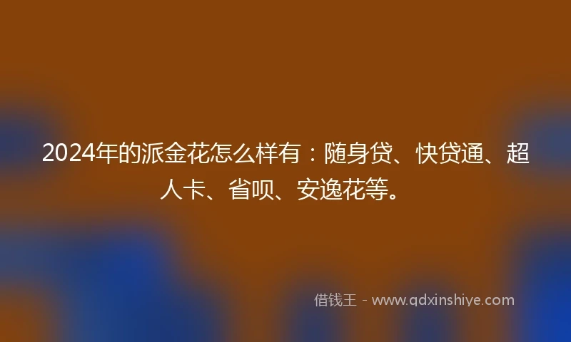 2024年的派金花怎么样有：随身贷、快贷通、超人卡、省呗、安逸花等。
